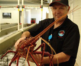 Lobster Shack - Accommodation Fremantle 0