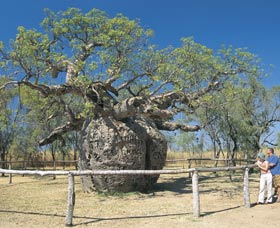 King Leopold Ranges WA Accommodation Fremantle