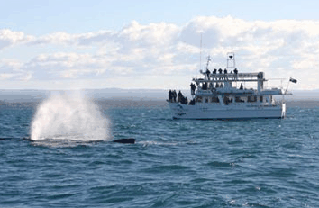 Huskisson NSW Accommodation Fremantle