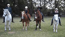 Valhalla Horse Riding - Accommodation Fremantle 1