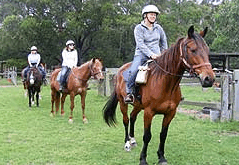 Valhalla Horse Riding - Accommodation Fremantle 2