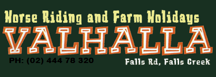 Valhalla Horse Riding - Accommodation Fremantle 4