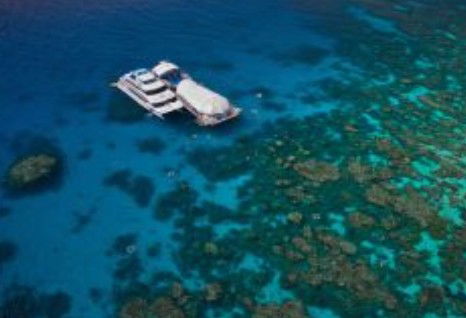Great Adventures Reef And Green Island Cruises - Accommodation Fremantle 0