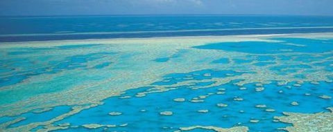 Aristocat Snorkel And Scuba Port Douglas - Accommodation Fremantle 3