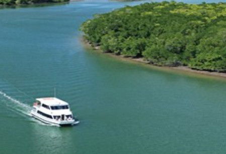 Cairns Harbour Cruises - Accommodation Fremantle 3