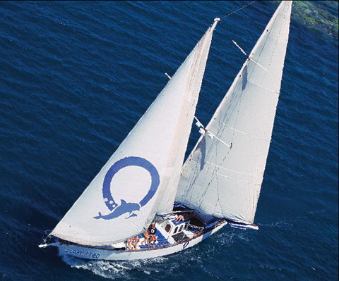 Ocean Free & Ocean Freedom - Cairns Premier Reef And Island Tours - Accommodation Fremantle 0