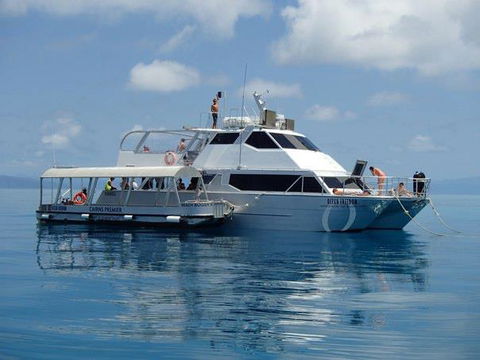 Ocean Free & Ocean Freedom - Cairns Premier Reef And Island Tours - Accommodation Fremantle 1