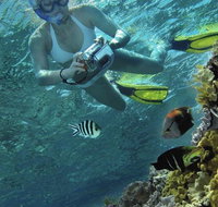 Calypso Reef Charters - Accommodation Fremantle