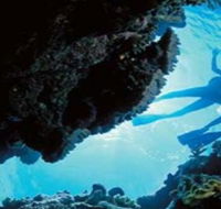 Deep Sea Divers Den - Accommodation Fremantle