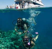 Down Under Cruise and Dive - Accommodation Fremantle
