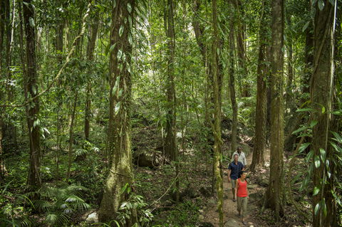 Mossman Gorge Centre - Accommodation Fremantle 1