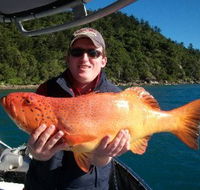 Gone Fishing by Coral Sea Fishing Charters Airlie Beach - Accommodation Fremantle