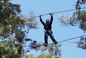 Adventure Parc - Accommodation Fremantle 2