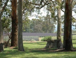 Amosfield QLD Accommodation Fremantle