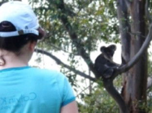 Araucaria Ecotours - Accommodation Fremantle 1