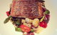 Manly Wharf Hotel - thumb 8