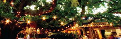 Neutral Bay NSW Accommodation Fremantle