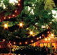 The Oaks - Accommodation Fremantle