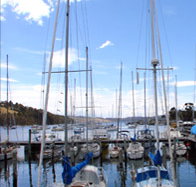 Oyster Cove Inn - Accommodation Fremantle