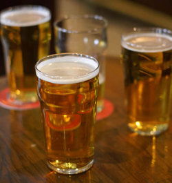 MGM's Tavern - Accommodation Fremantle 2