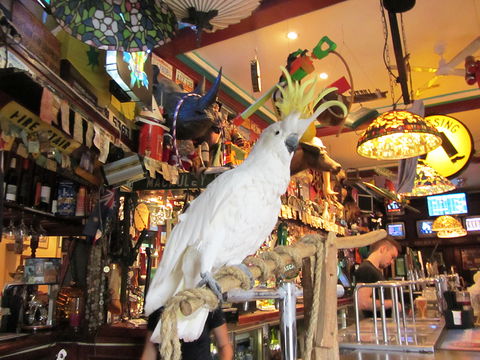 A Friend In Hand - Accommodation Fremantle 0