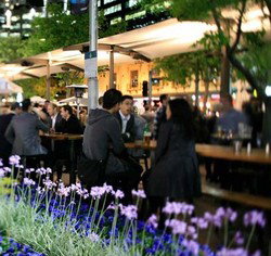 Quay Bar - Accommodation Fremantle 0