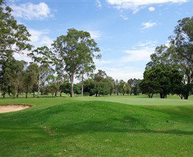 Fern Gully NSW Accommodation Fremantle