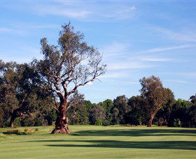 Corowa Golf Club - Accommodation Fremantle 5