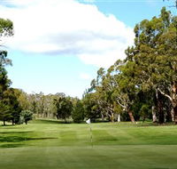 Cooma Golf Club - Accommodation Fremantle