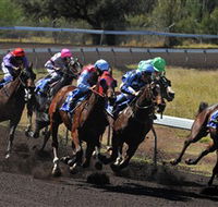 Alice Springs Turf Club - Accommodation Fremantle