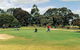 Lucindale Country Club - thumb 1