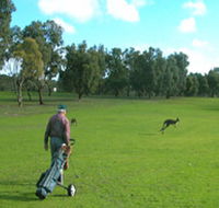Coffin Bay Golf Club - Accommodation Fremantle