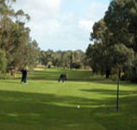 Mount Gambier Golf Club - Accommodation Fremantle