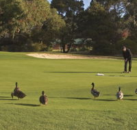 Royal Hobart Golf Club - Accommodation Fremantle