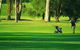 Foster Golf Club - thumb 0