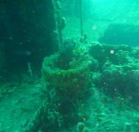 Wallaroo Scuba Club - Accommodation Fremantle