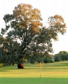 Cowra NSW Accommodation Fremantle