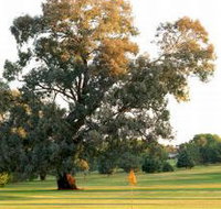 Cowra Golf Club - Accommodation Fremantle