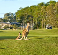 Sanctuary Cove Golf and Country Club - Accommodation Fremantle