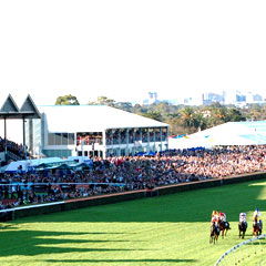 Morphettville SA Accommodation Fremantle