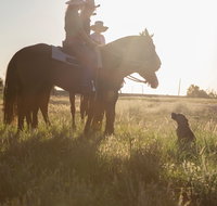 Balonne Cutting Horse Futurity - Accommodation Fremantle