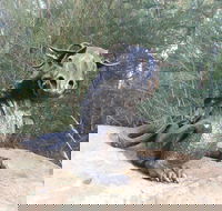 Bathurst Arts Trail - Accommodation Fremantle
