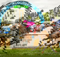 Bathurst Cup - Accommodation Fremantle