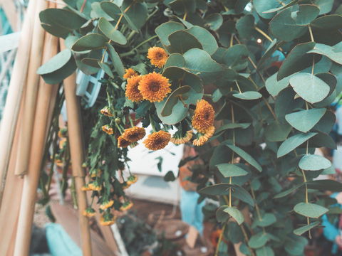 Boho Luxe Market - Accommodation Fremantle 2