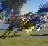 Casino Golf Club Markets - Accommodation Fremantle