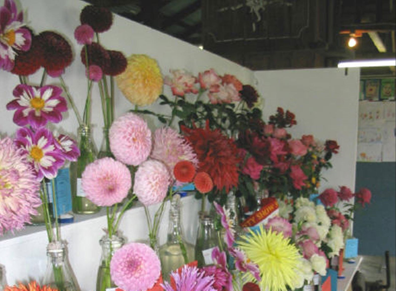 Avonside NSW Accommodation Fremantle