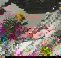 Dalgety Show - Accommodation Fremantle