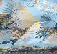 Dreams of Air and Flight - Accommodation Fremantle