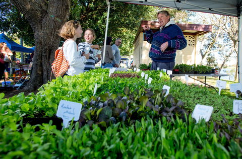 Gladstone Quality Markets - Accommodation Fremantle 2