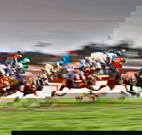 Grafton July Racing Carnival - Accommodation Fremantle